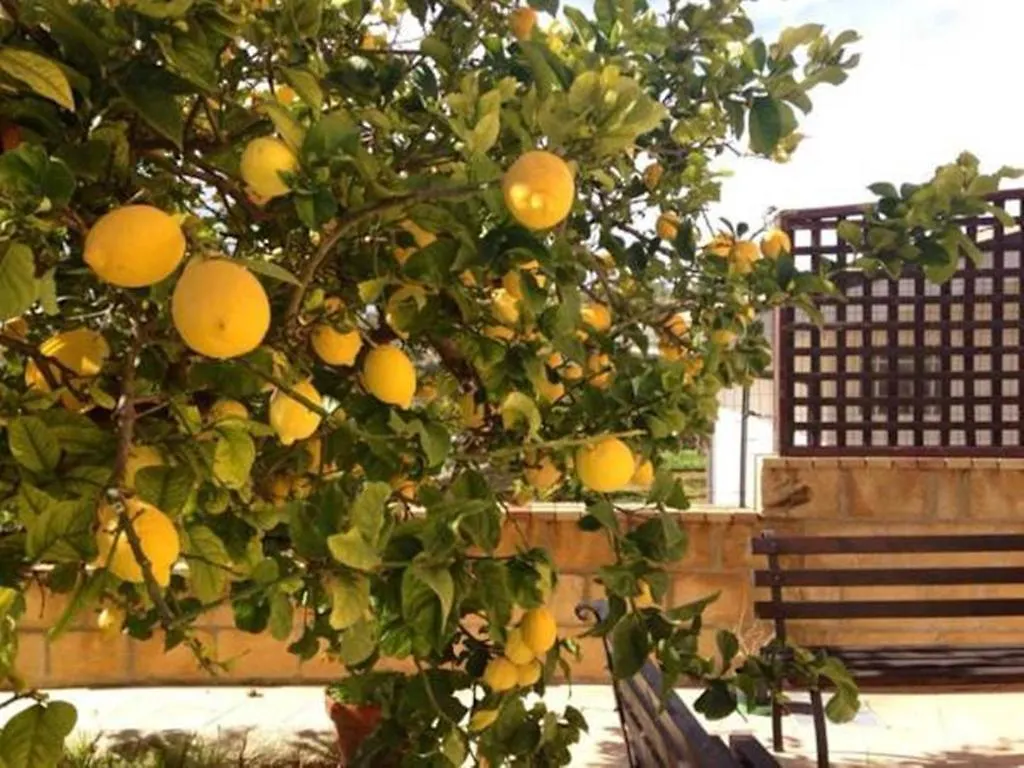 Frühstückspension Villa Mara B&B Noto